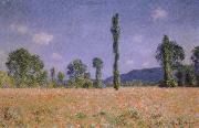 Claude Monet Poppy Field china oil painting artist